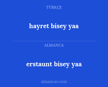 hayret bisey yaa - erstaunt bisey yaa