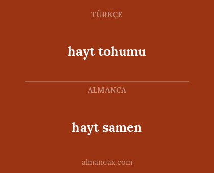 hayt tohumu - hayt samen