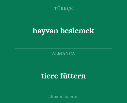 tiere füttern - hayvan beslemek