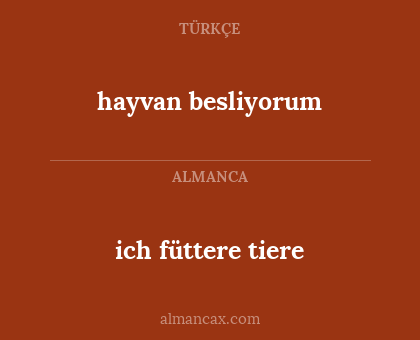 hayvan besliyorum - ich füttere tiere