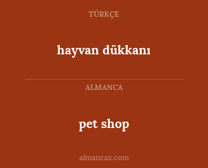 hayvan dükkanı - pet shop