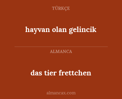 das tier frettchen - hayvan olan gelincik