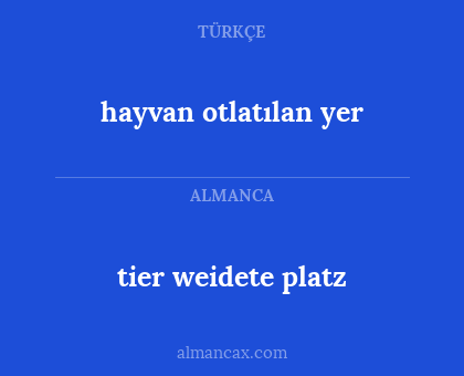 tier weidete platz - hayvan otlatılan yer
