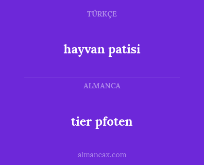 hayvan patisi - tier pfoten