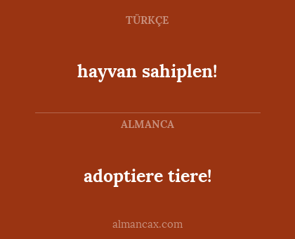 hayvan sahiplen! - adoptiere tiere!