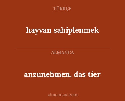 anzunehmen, das tier - hayvan sahiplenmek