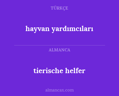 hayvan yardımcıları - tierische helfer
