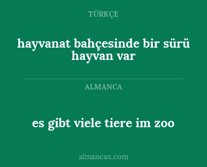 es gibt viele tiere im zoo - hayvanat bahçesinde bir sürü hayvan var
