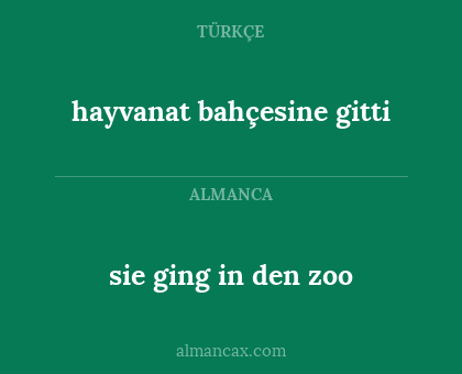hayvanat bahçesine gitti - sie ging in den zoo