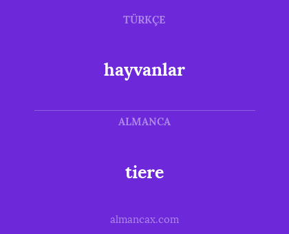 hayvanlar - tiere