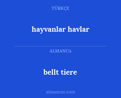 hayvanlar havlar - bellt tiere