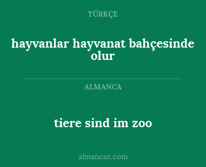 hayvanlar hayvanat bahçesinde olur - tiere sind im zoo