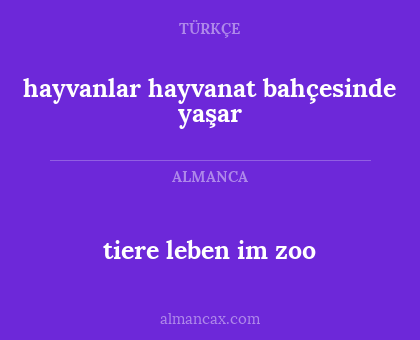 hayvanlar hayvanat bahçesinde yaşar - tiere leben im zoo