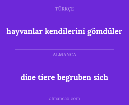 hayvanlar kendilerini gömdüler - di̇e tiere begruben sich