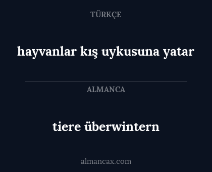 hayvanlar kış uykusuna yatar - tiere überwintern