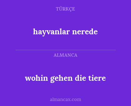 wohin gehen die tiere - hayvanlar nerede