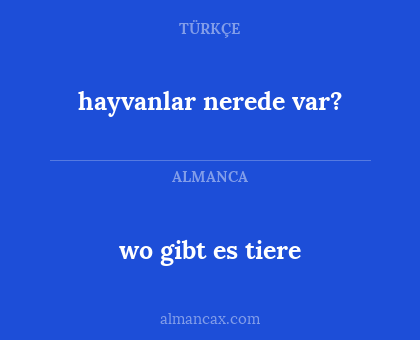 hayvanlar nerede var? - wo gibt es tiere