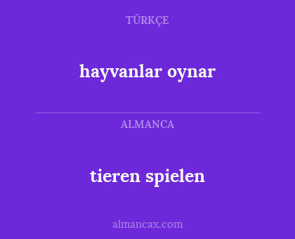 hayvanlar oynar - tieren spielen