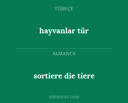 sortiere die tiere - hayvanlar tür