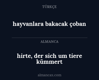 hayvanlara bakacak çoban - hirte, der sich um tiere kümmert