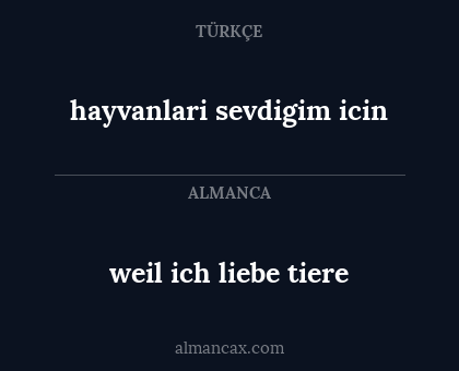 weil ich liebe tiere - hayvanlari sevdigim icin