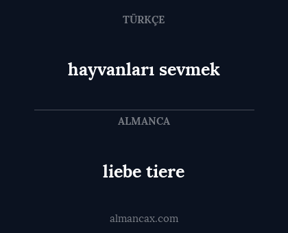 hayvanları sevmek - liebe tiere