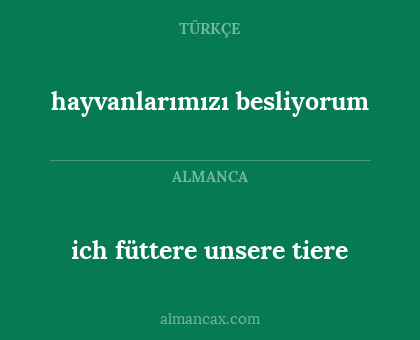 ich füttere unsere tiere - hayvanlarımızı besliyorum