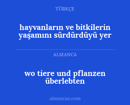 wo tiere und pflanzen überlebten - hayvanların ve bitkilerin yaşamını sürdürdüyü yer