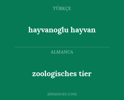 zoologisches tier - hayvanoglu hayvan