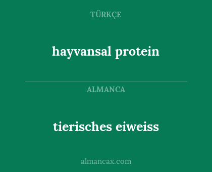 hayvansal protein - tierisches eiweiss