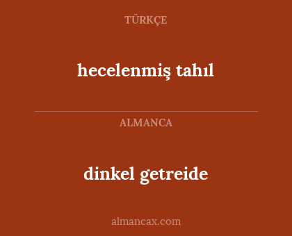 hecelenmiş tahıl - dinkel getreide