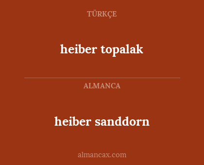 heiber sanddorn - heiber topalak