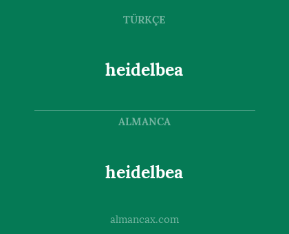 heidelbea - heidelbea
