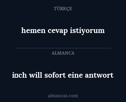 i̇ch will sofort eine antwort - hemen cevap istiyorum
