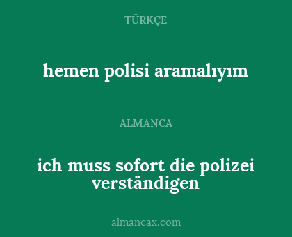 ich muss sofort die polizei verständigen - hemen polisi aramalıyım