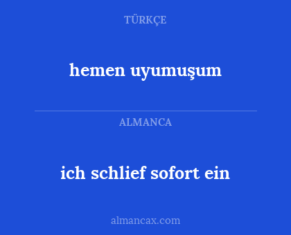 hemen uyumuşum - ich schlief sofort ein
