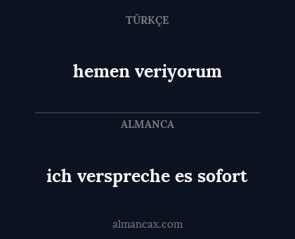 hemen veriyorum - ich verspreche es sofort