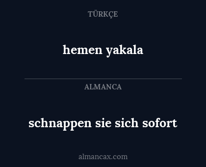 schnappen sie sich sofort - hemen yakala