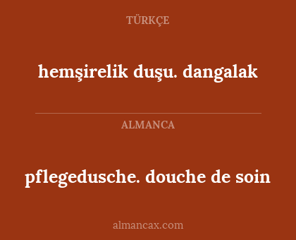 pflegedusche. douche de soin - hemşirelik duşu. dangalak