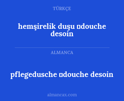 hemşirelik duşu 。douche desoin - pflegedusche 。douche desoin
