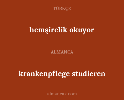 krankenpflege studieren - hemşirelik okuyor