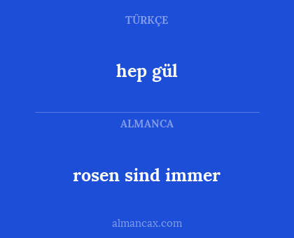 hep gül - rosen sind immer