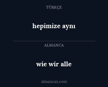 wie wir alle - hepimize aynı