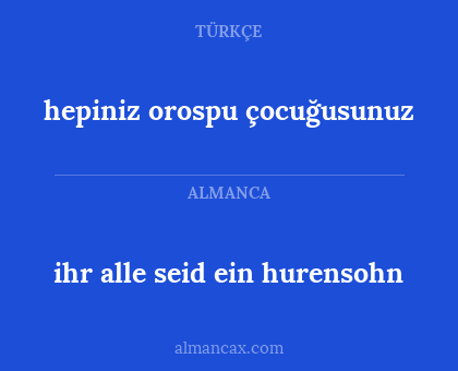 ihr alle seid ein hurensohn - hepiniz orospu çocuğusunuz