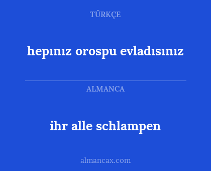 ihr alle schlampen - hepınız orospu evladısınız