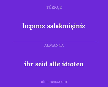 ihr seid alle idioten - hepınız salakmişiniz