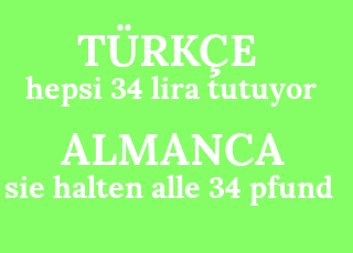 hepsi+34+lira+tutuyor-sie+halten+alle+34+pfund.png