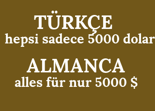 hepsi+sadece+5000+dolar-alles+f%C3%BCr+nur+5000+%24.png