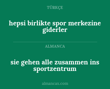 hepsi birlikte spor merkezine giderler - sie gehen alle zusammen ins sportzentrum