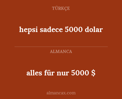 hepsi sadece 5000 dolar - alles für nur 5000 $